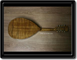 Flatback mandolin